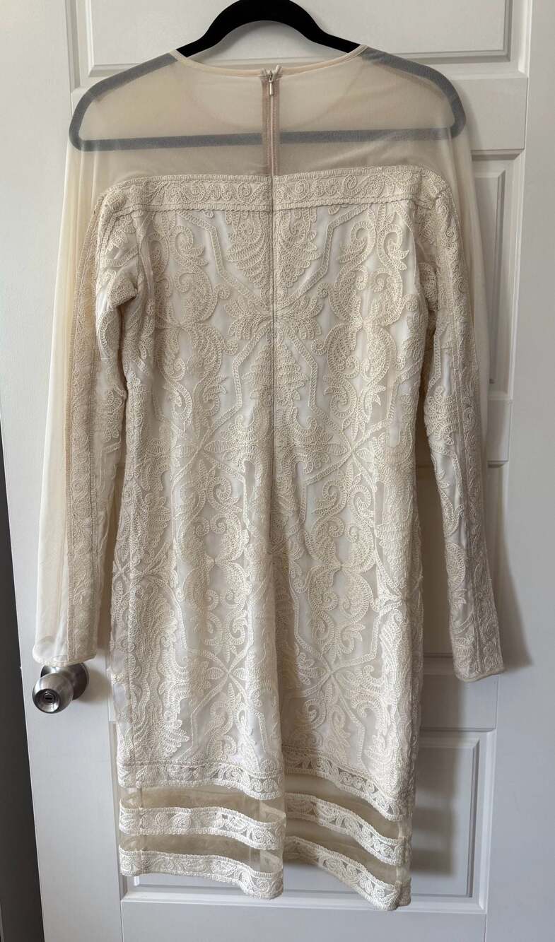 Tadashi Shoji Ivory Corded Lace Sheath Dress Size 12 Long Sleeve Illusion Mesh C - Picture 4 of 10